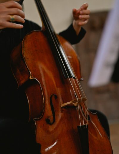 The Kohaut Project by Christopher Jepson